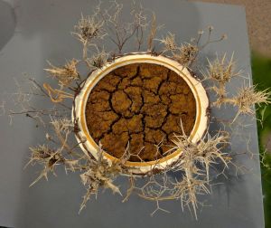 קיץ ישראלי / Israeli Summer