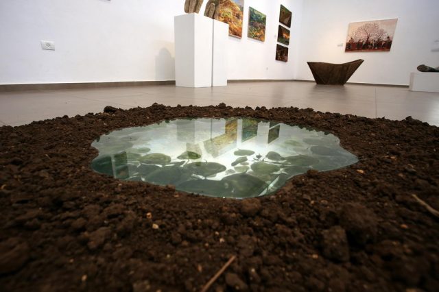 closeup שלולית 