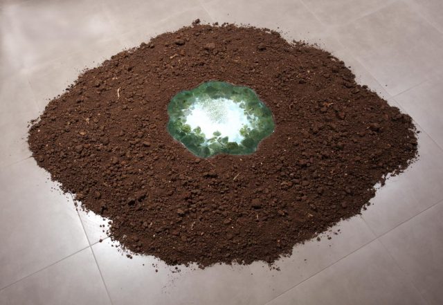 puddle 1.שלוליתjpg.j pg