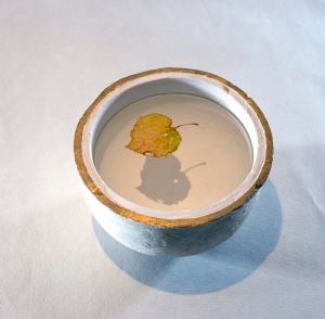 floating leaf עלה צף 