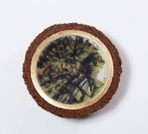 bike ride רוכב אופניים